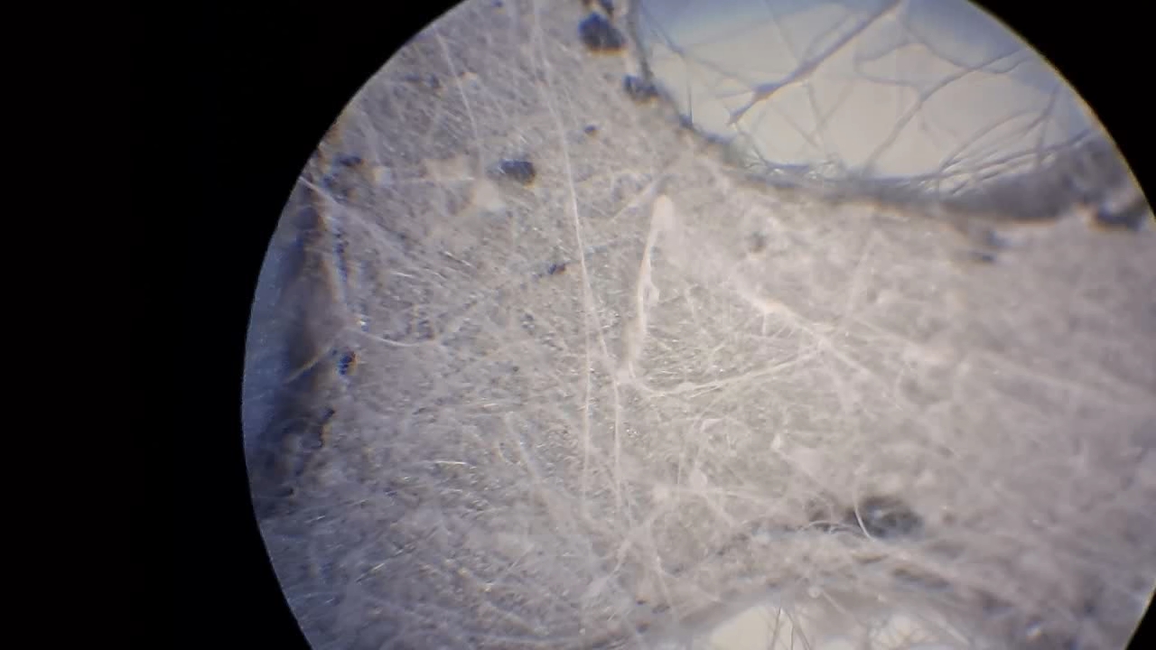 Electrospinning: Solution of Polystyrene in Ethyl Acetate